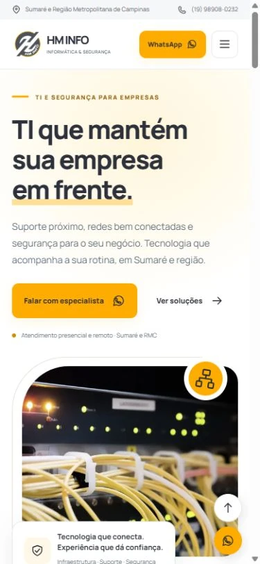 Captura real da HM INFO em formato celular